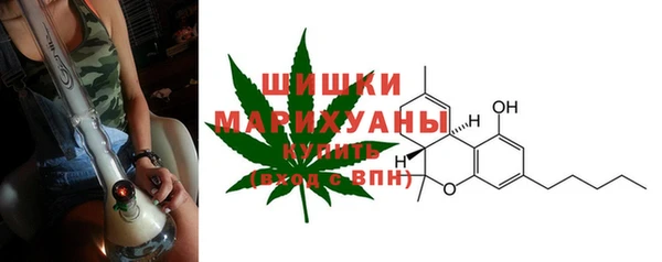 амф Арсеньев