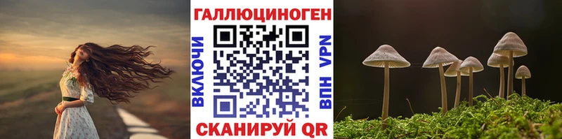 Галлюциногенные грибы Psilocybe  Биробиджан 